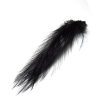 Coq de Leon feathers